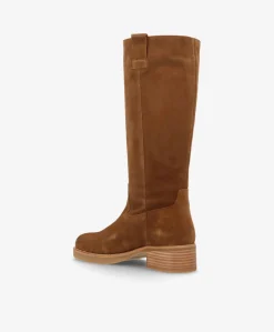 Dame phenumb copenhagen CAMERON LONG S - ruskind - Lang støvle Dame